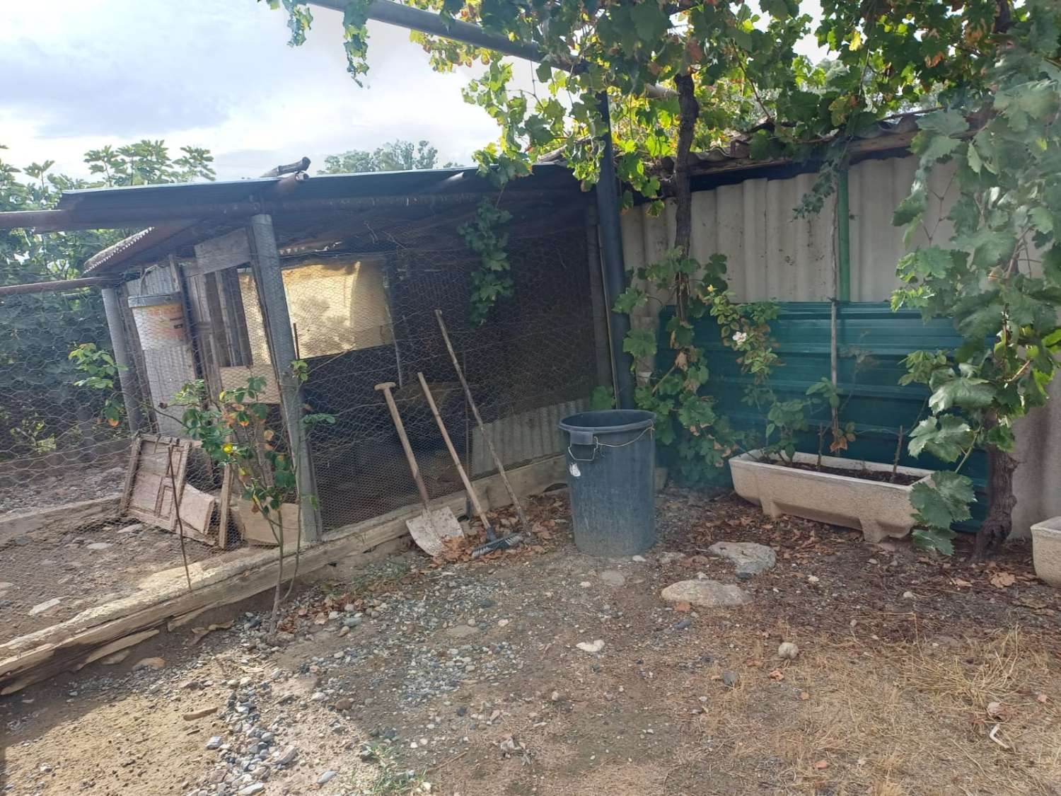 Finca de naranja  con 2 casas en pizarra