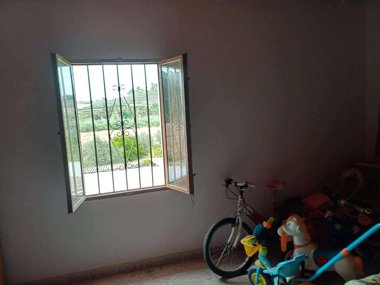 Finca de naranja  con 2 casas en pizarra