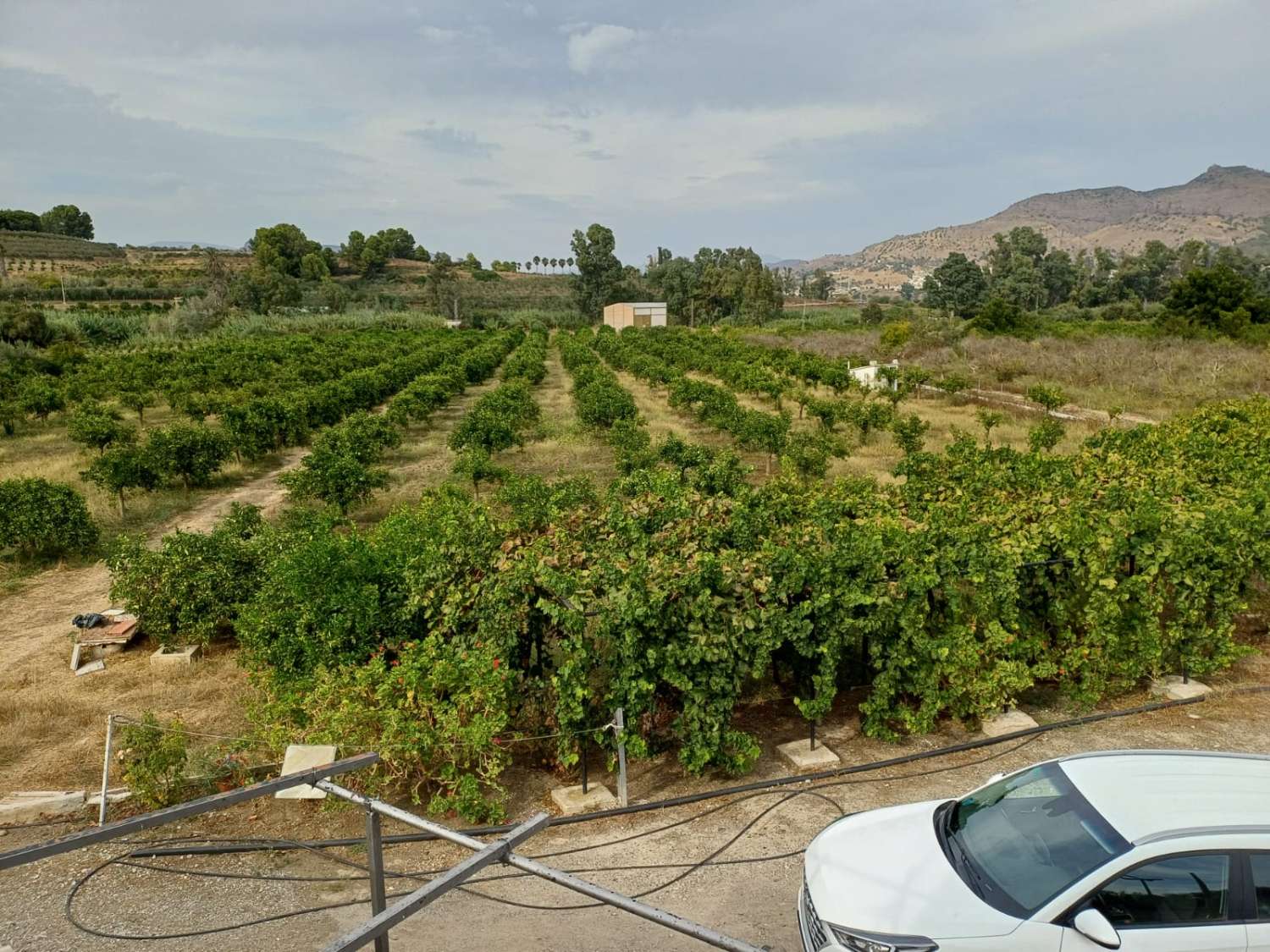 Finca de naranja  con 2 casas en pizarra