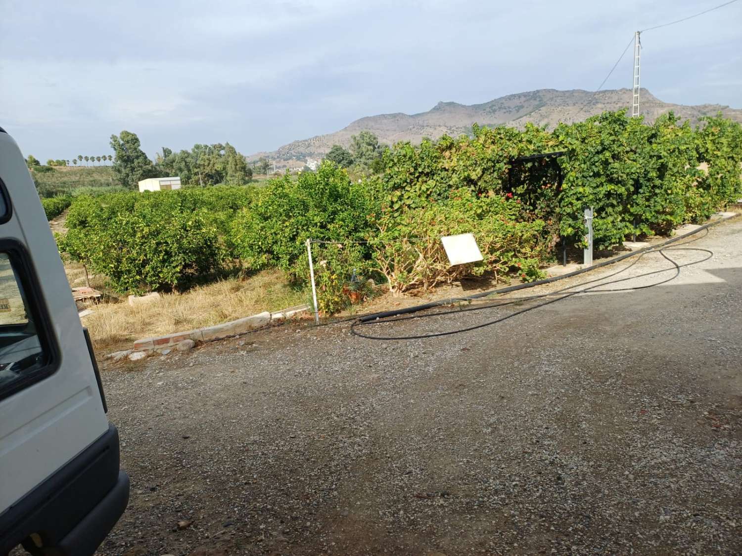 Finca de naranja  con 2 casas en pizarra