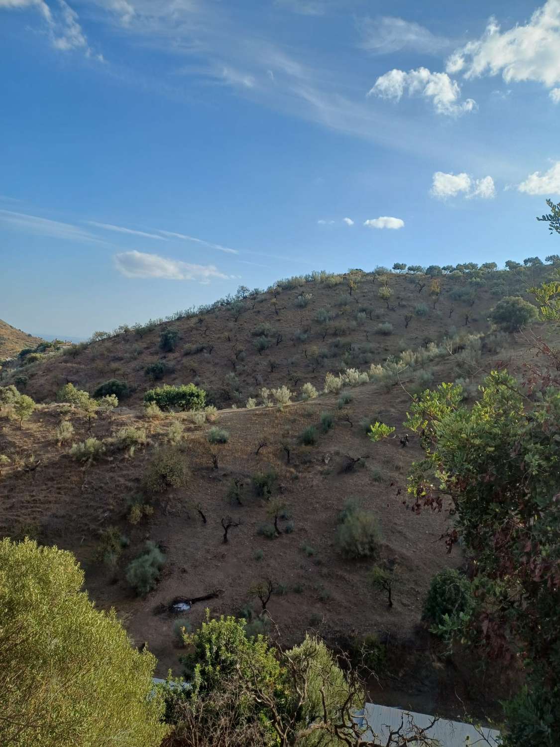Perceel aan de rivier de Granadilla met uitzicht op zee