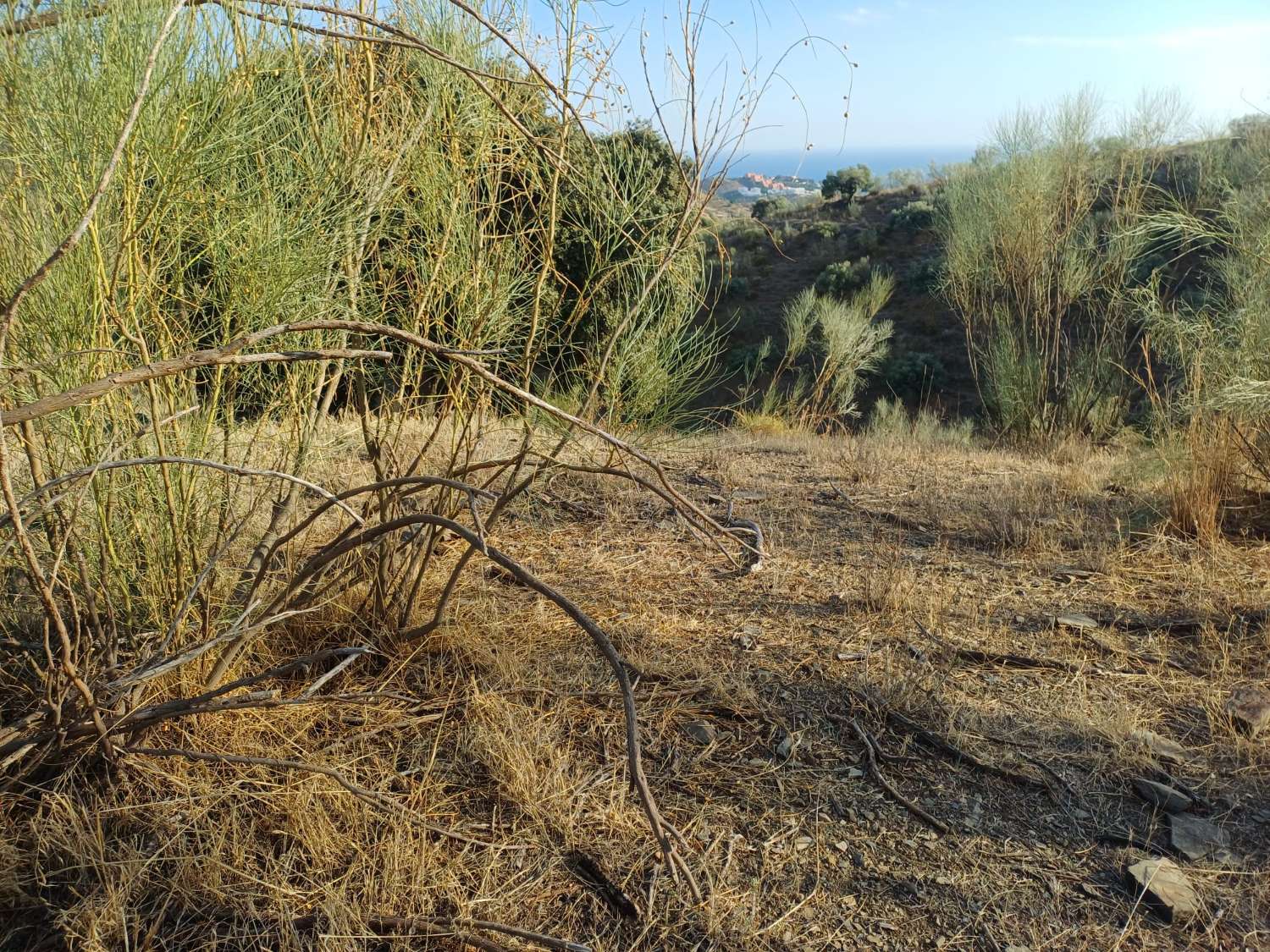 Perceel aan de rivier de Granadilla met uitzicht op zee