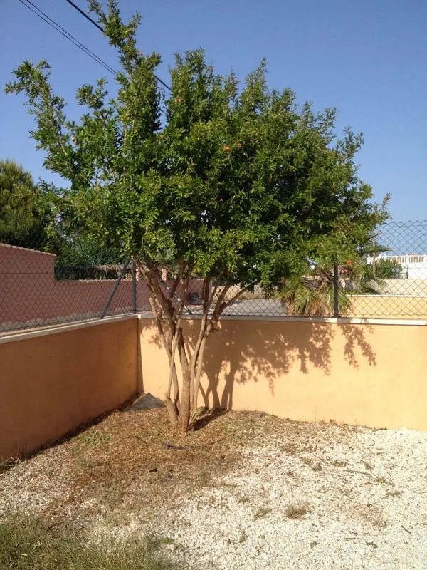 Bungalow til salgs til Orihuela