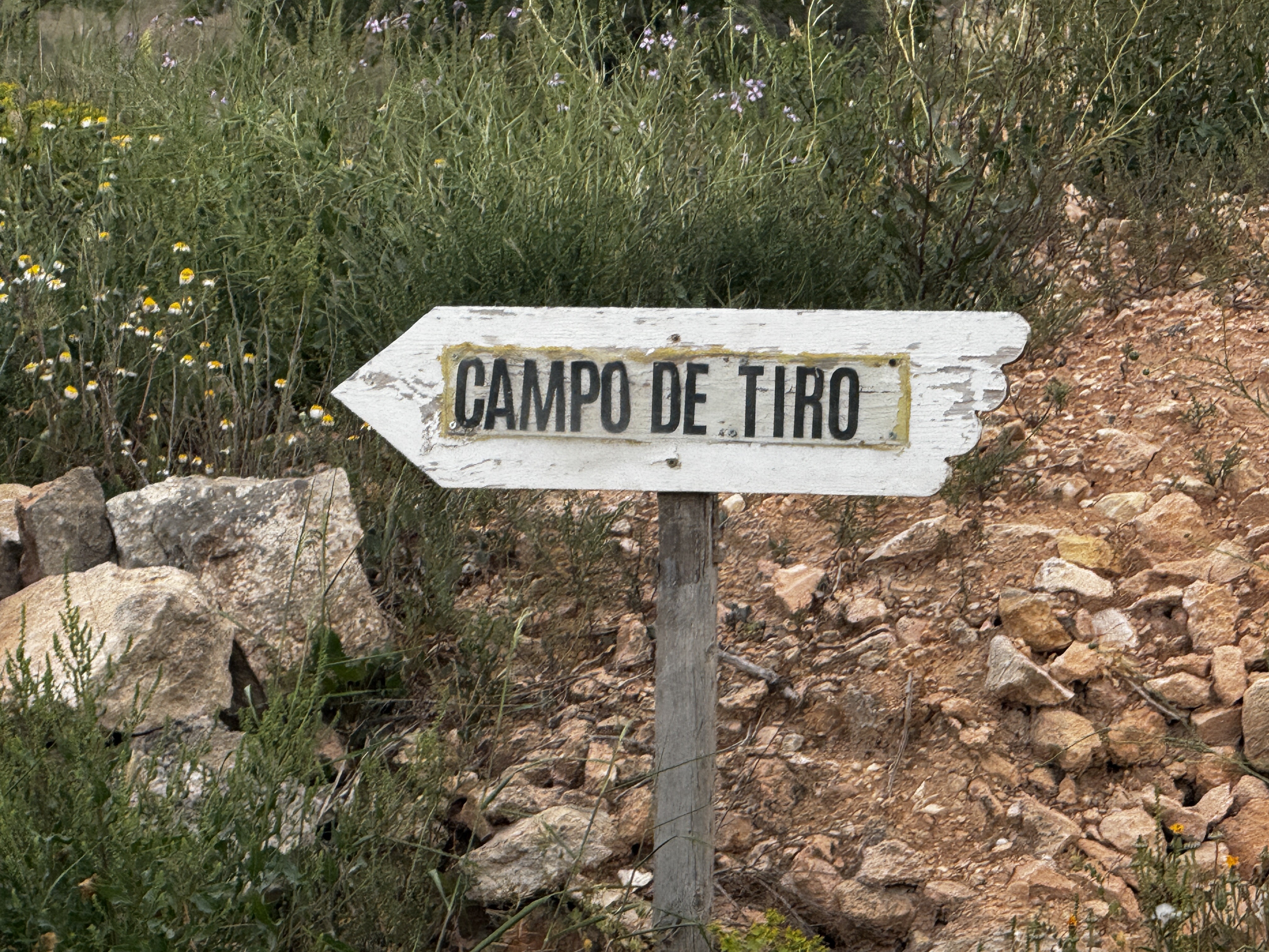 Villa en vente à Pinoso
