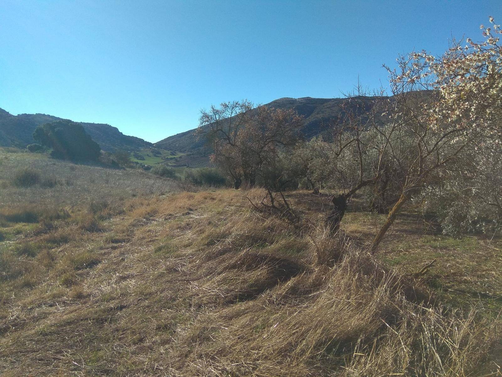 Maison en vente à Alfarnatejo