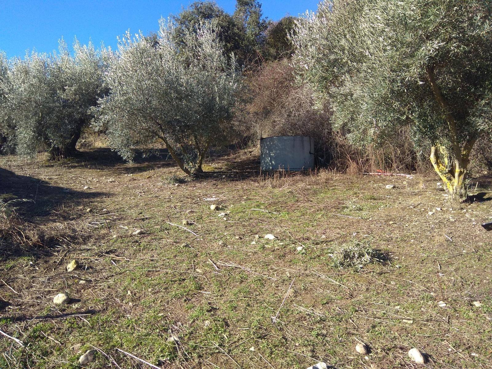 Maison en vente à Alfarnatejo