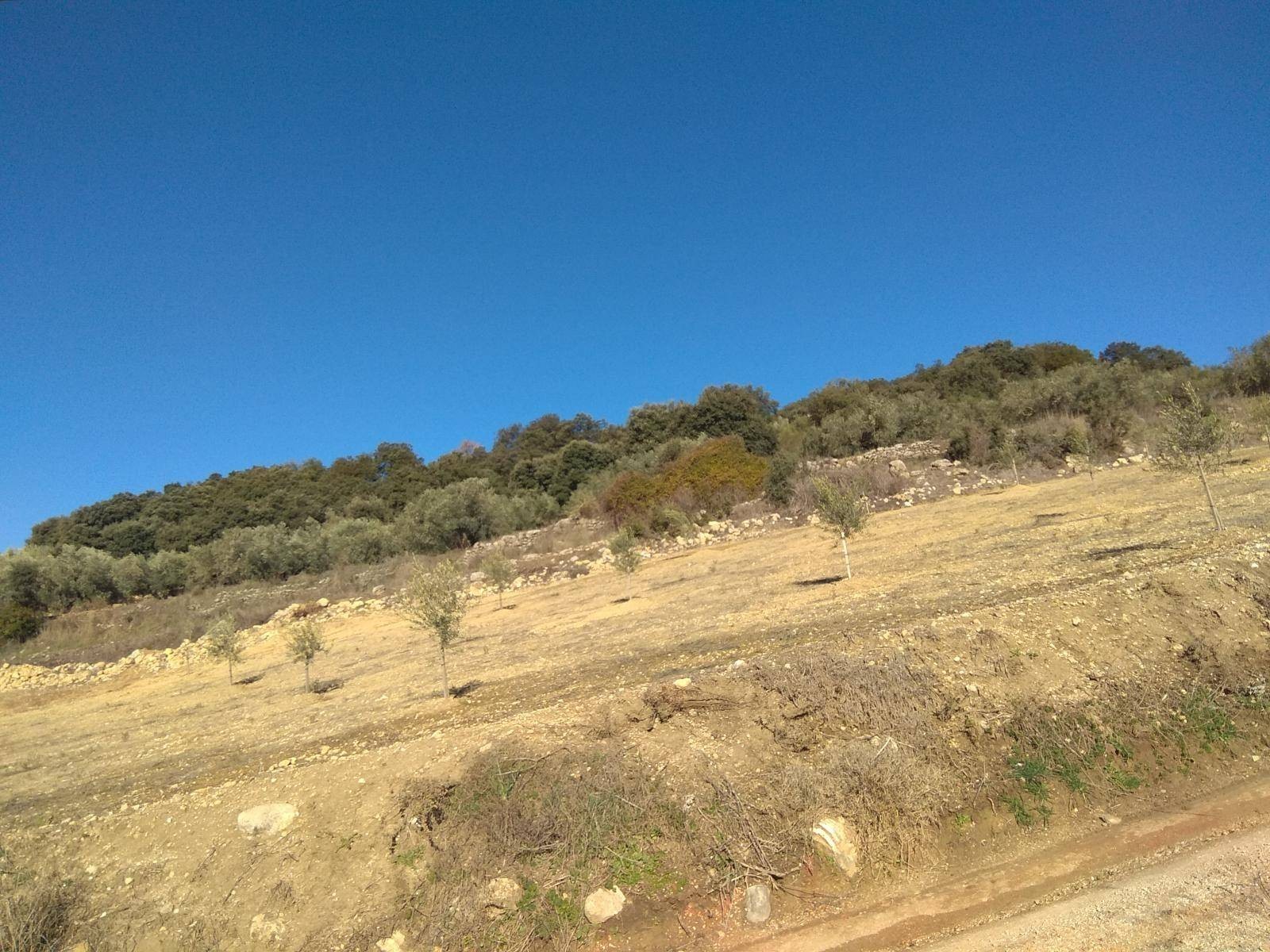 Maison en vente à Alfarnatejo