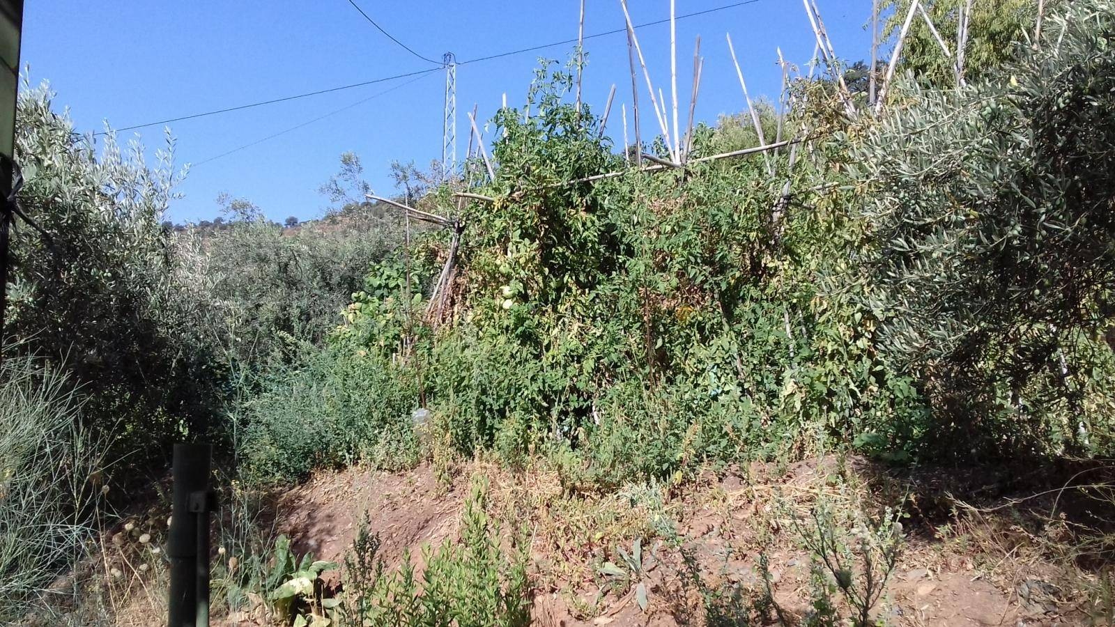 Maison en vente à Málaga-Este