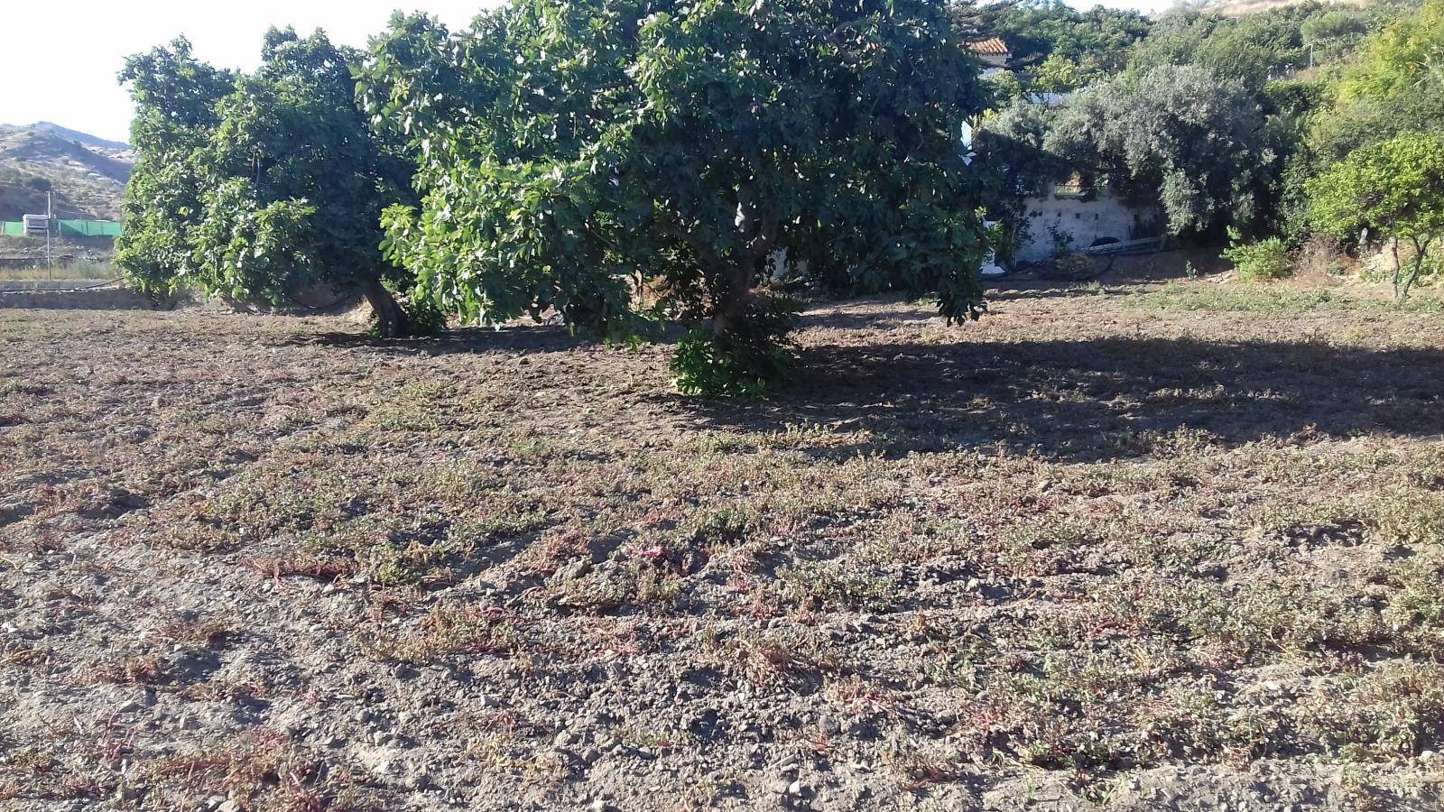 Maison en vente à Rincón de la Victoria