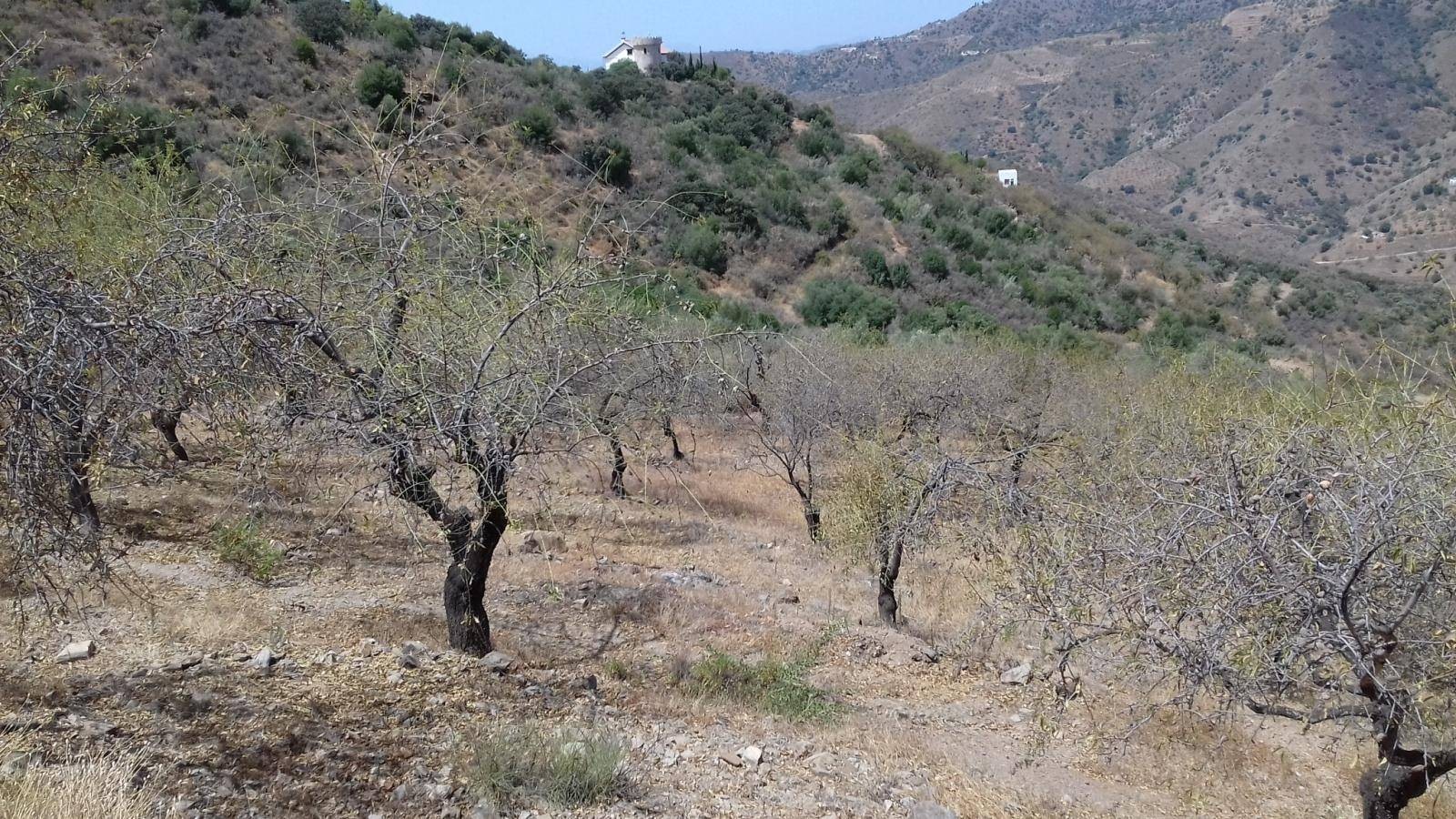 Parcelle en vente à Málaga
