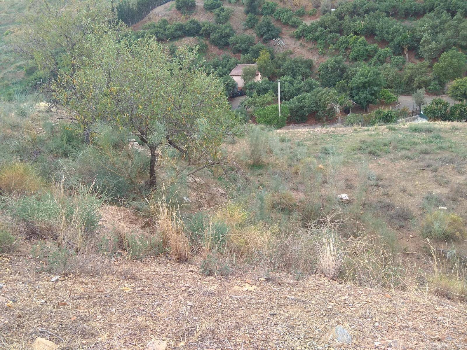 Maison en vente à Rincón de la Victoria