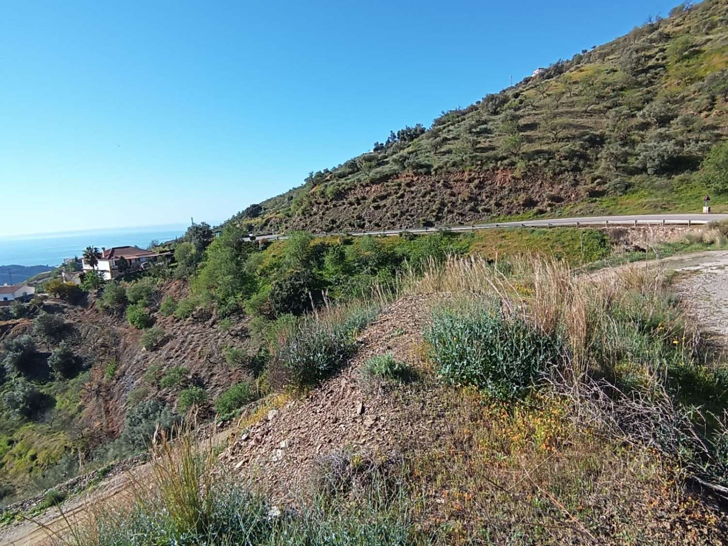 Parcelle en vente à Moclinejo