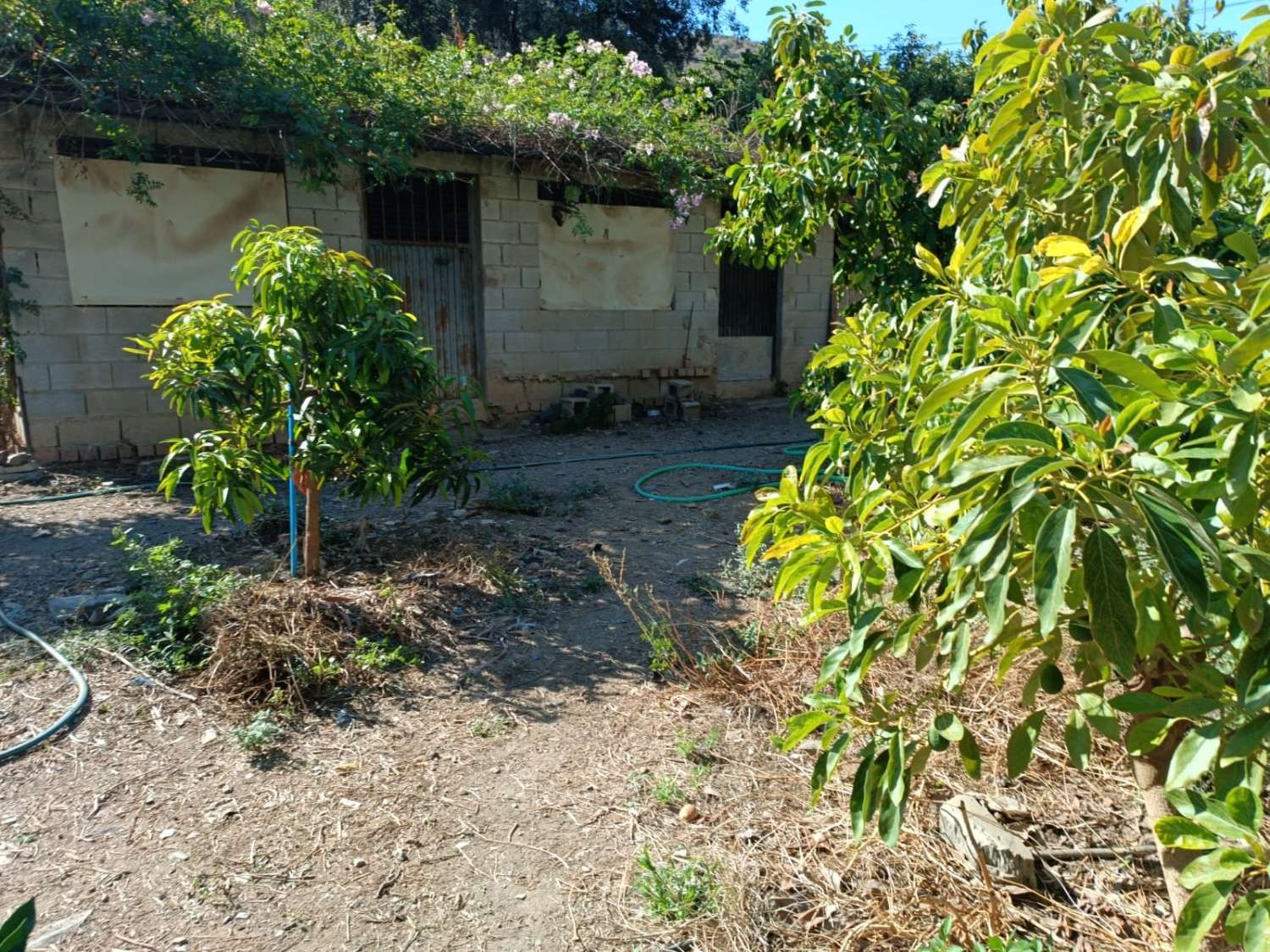 Maison en vente à Totalán