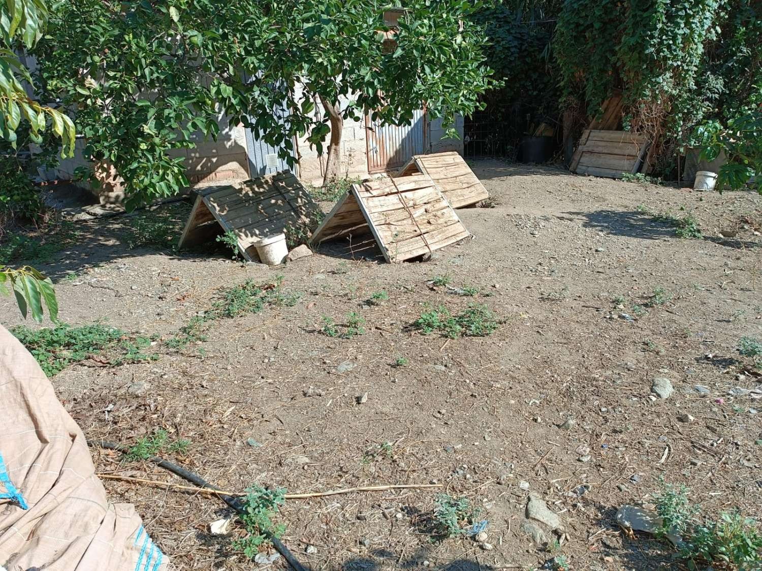 Maison en vente à Totalán