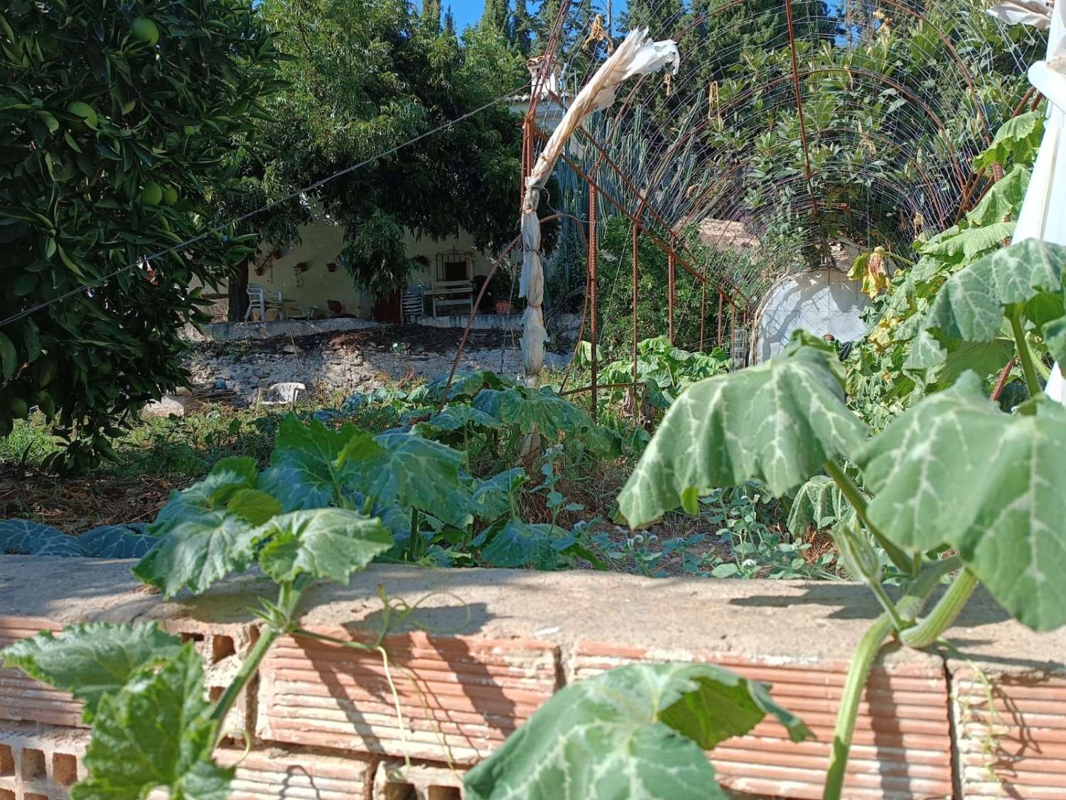 Maison en vente à Totalán