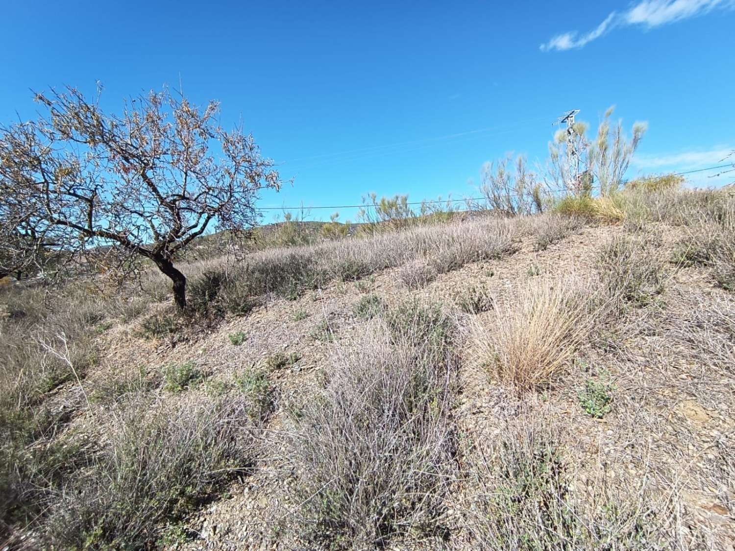 Parcelle en vente à Rincón de la Victoria