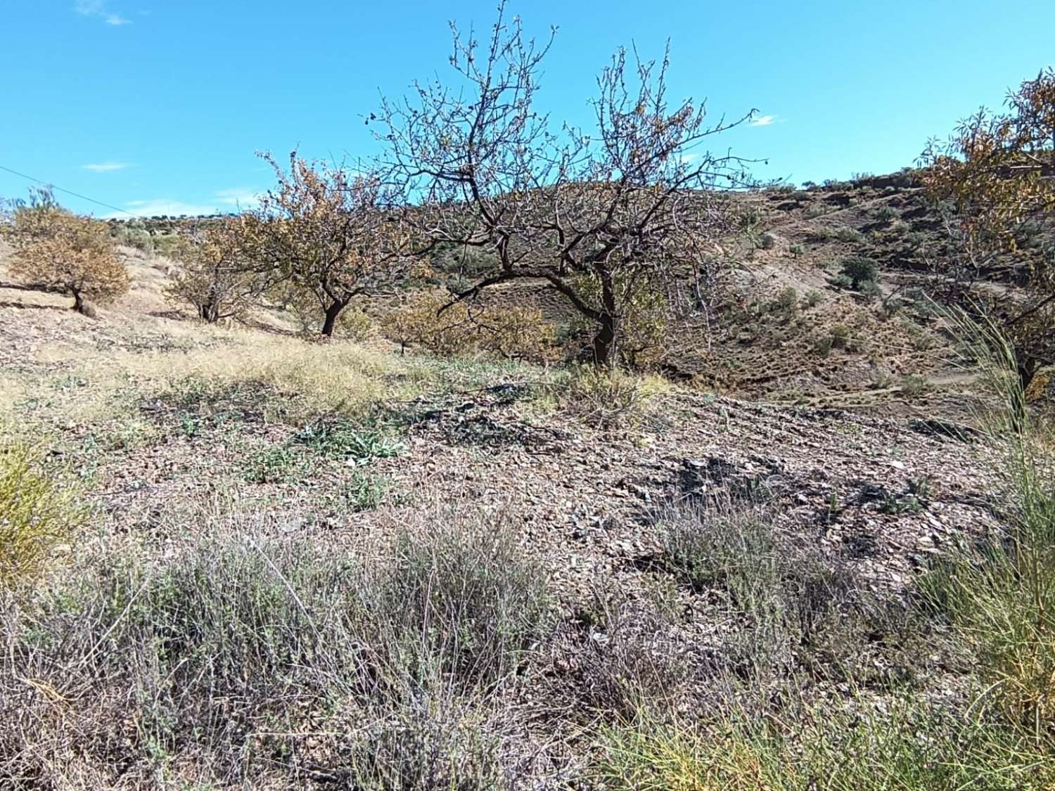 Parcelle en vente à Rincón de la Victoria