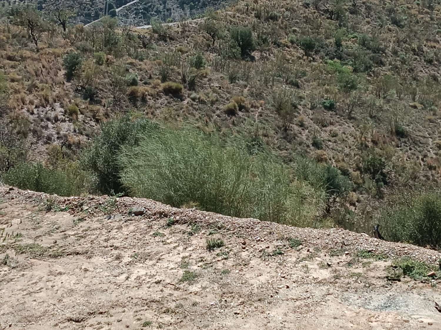 Parcelle en vente à Moclinejo