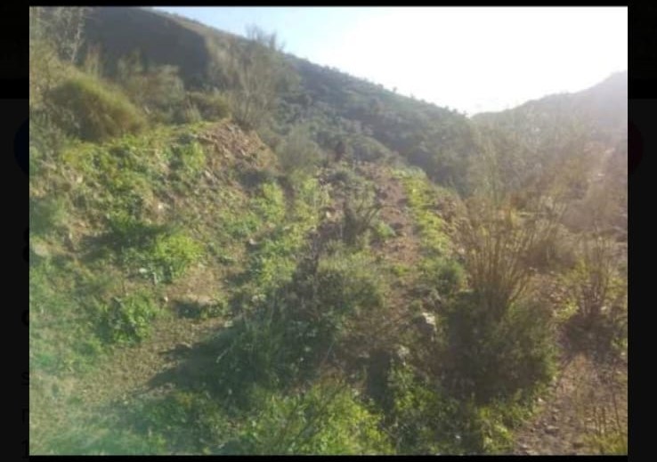 Parcelle en vente à Canillas de Aceituno