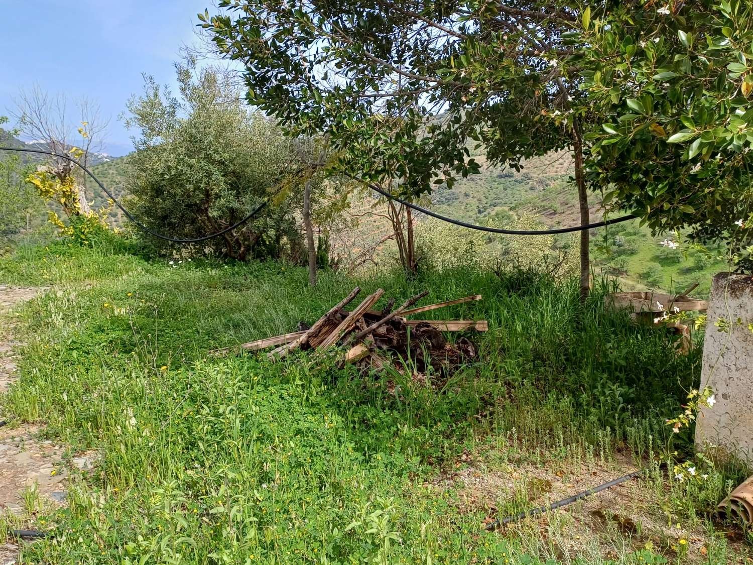 Maison en vente à Málaga