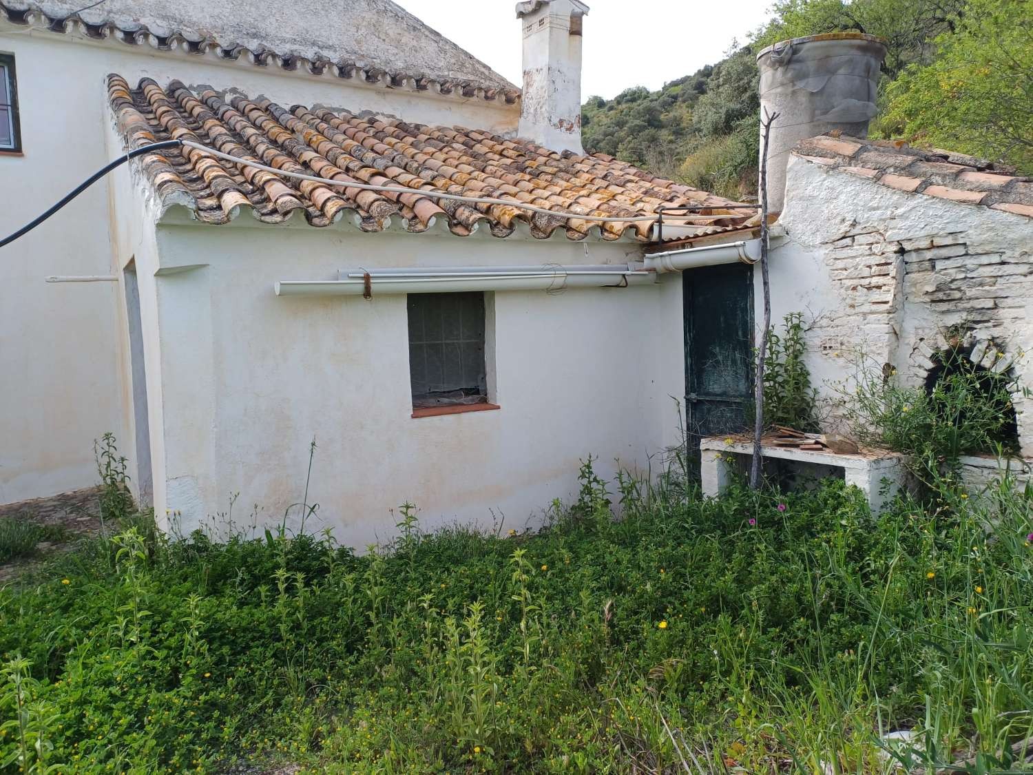Maison en vente à Málaga