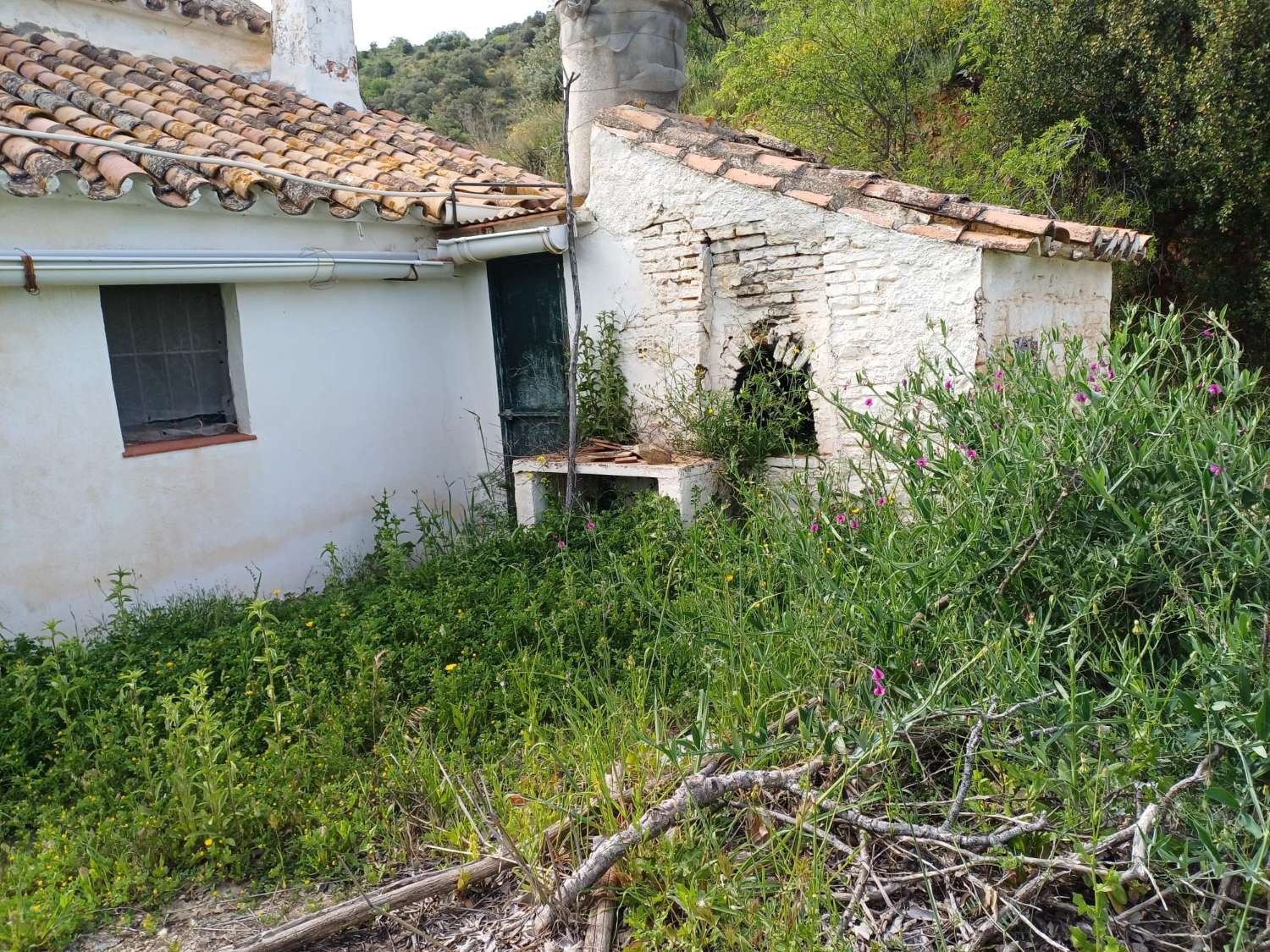 Maison en vente à Málaga