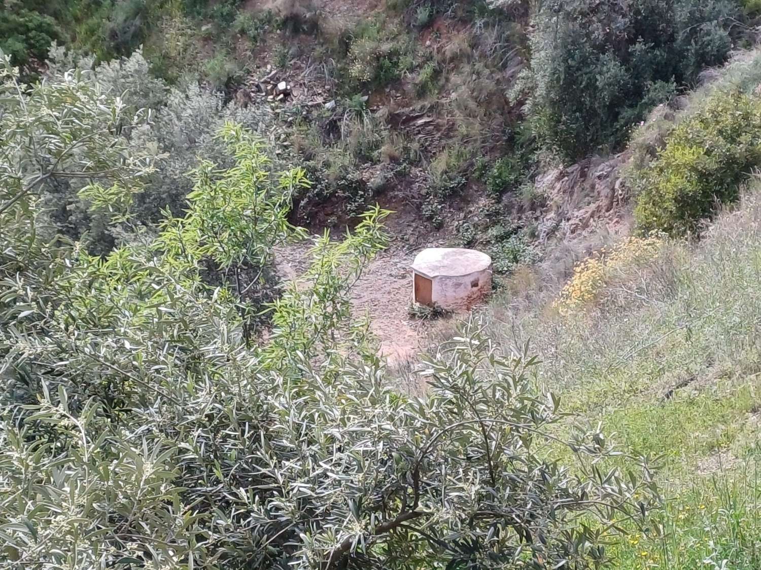 Maison en vente à Málaga