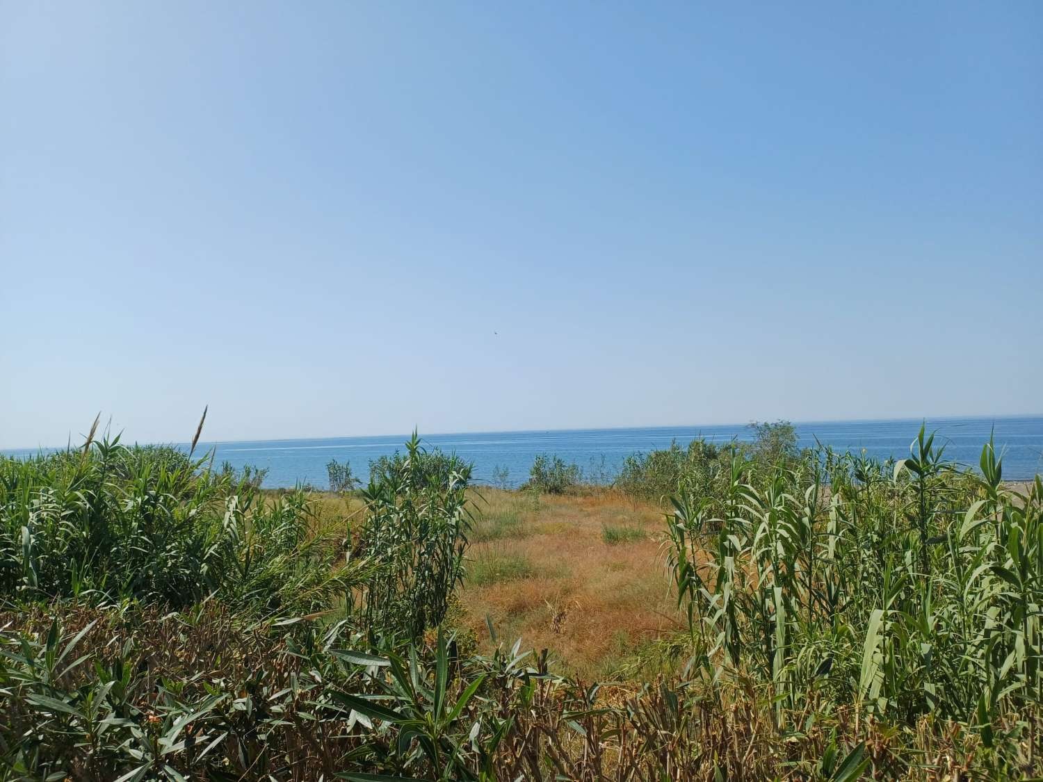 Parcelle en vente à Torrox