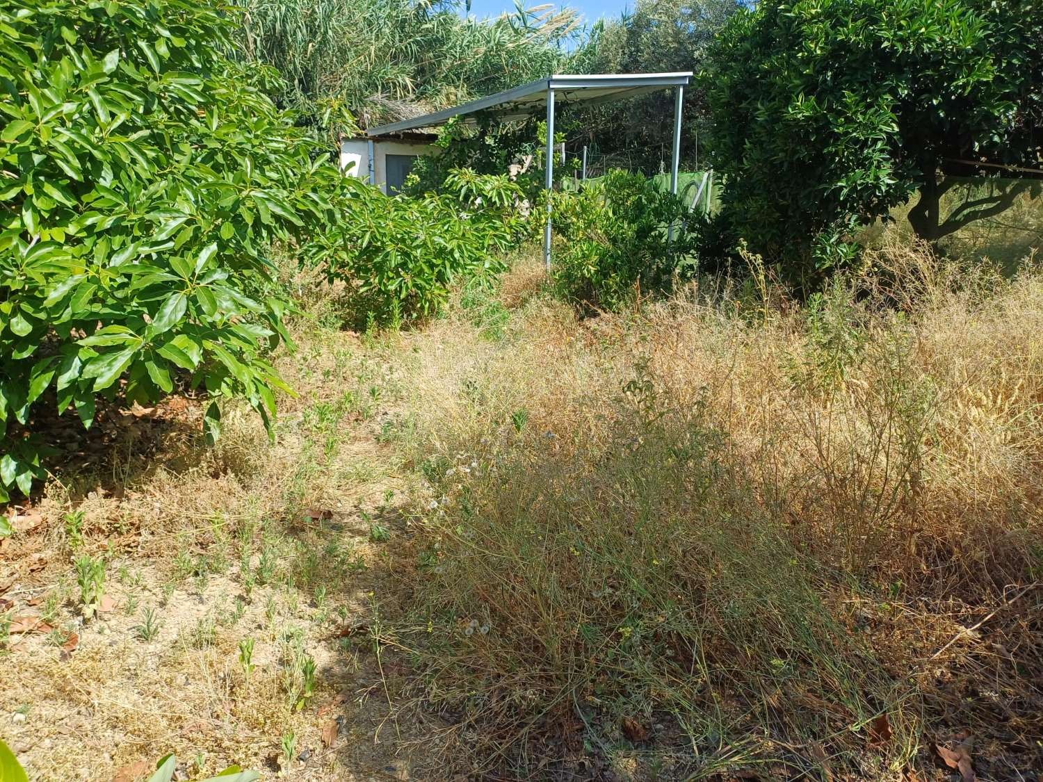 Parcelle en vente à Torrox