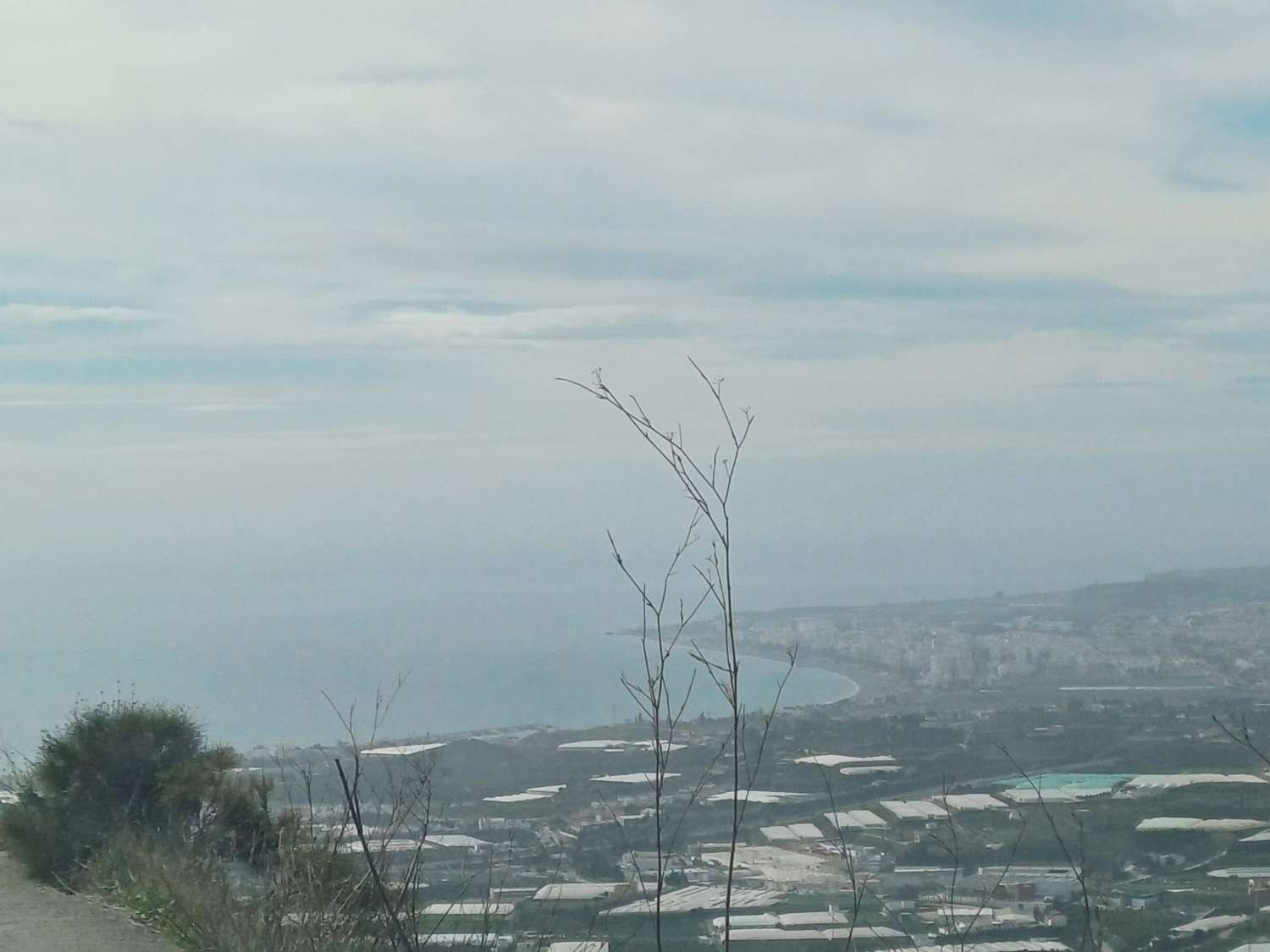 Parcelle en vente à Algarrobo