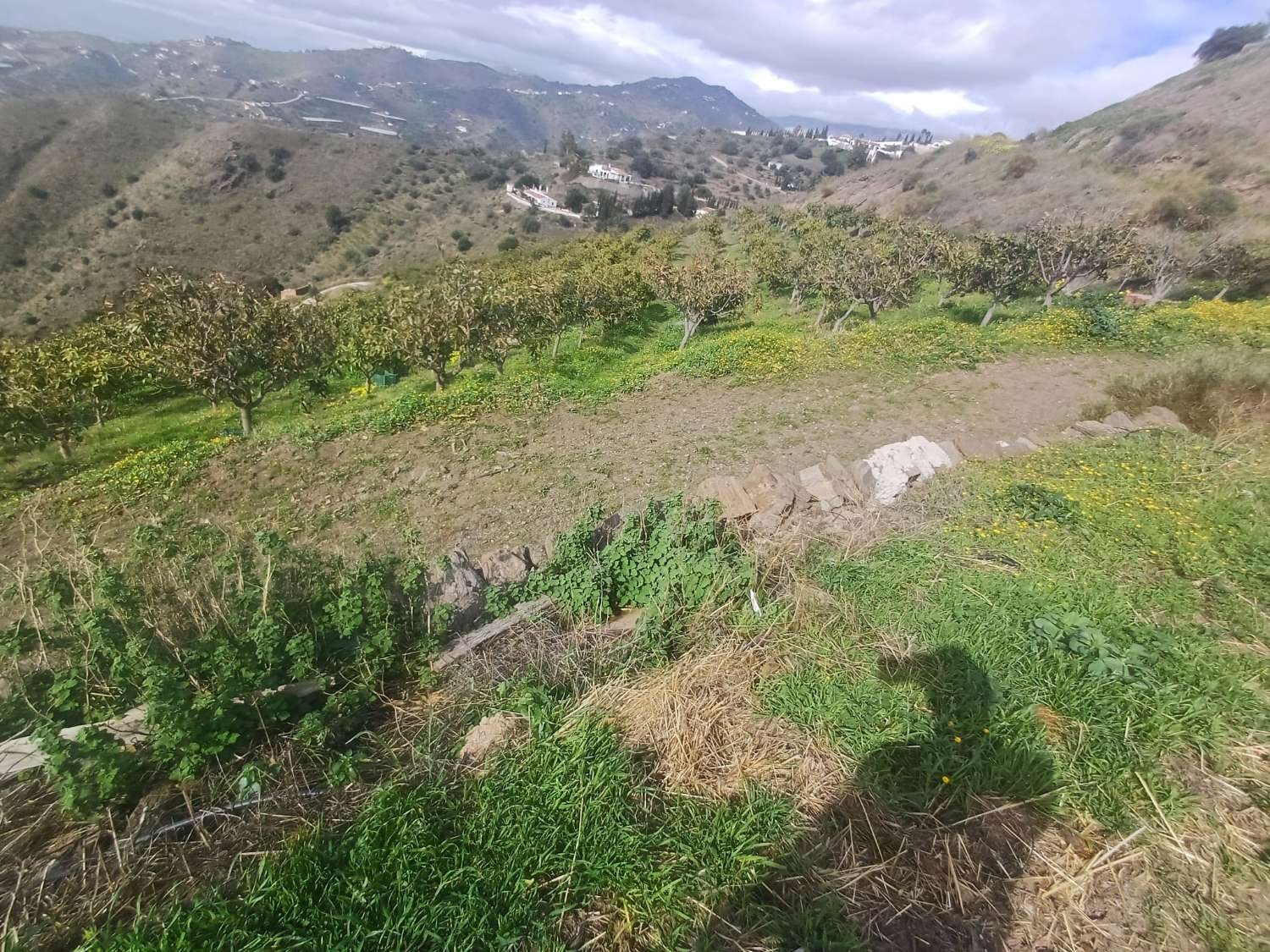 Parcelle en vente à Algarrobo