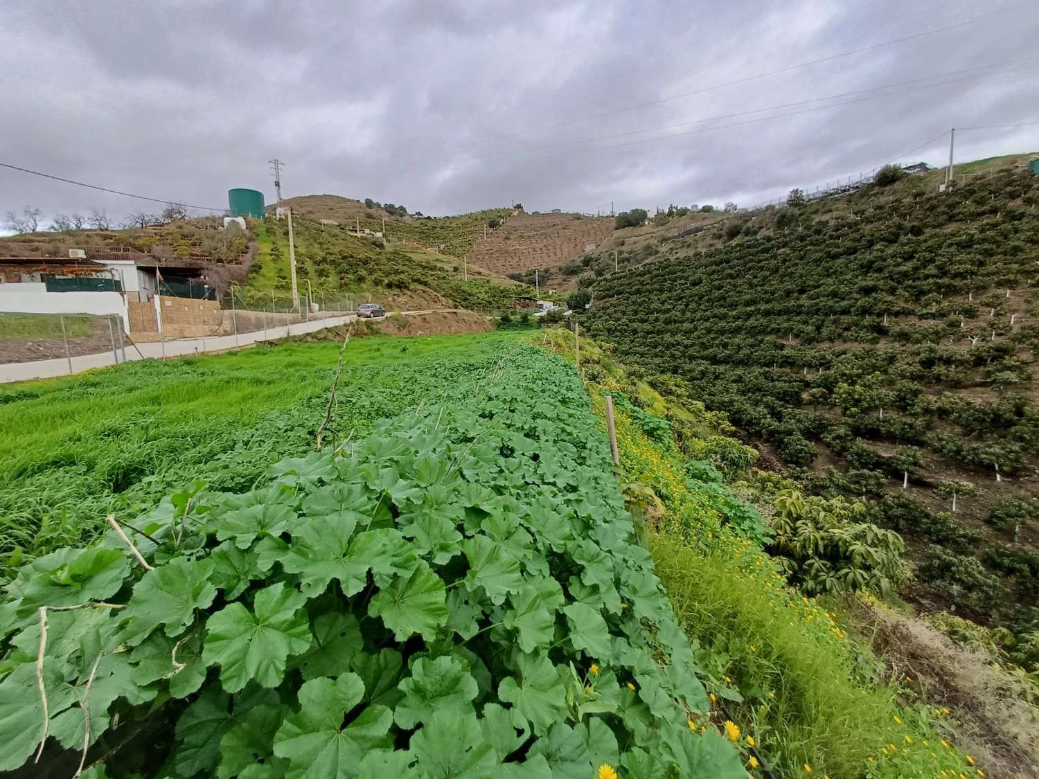 Parcelle en vente à Málaga