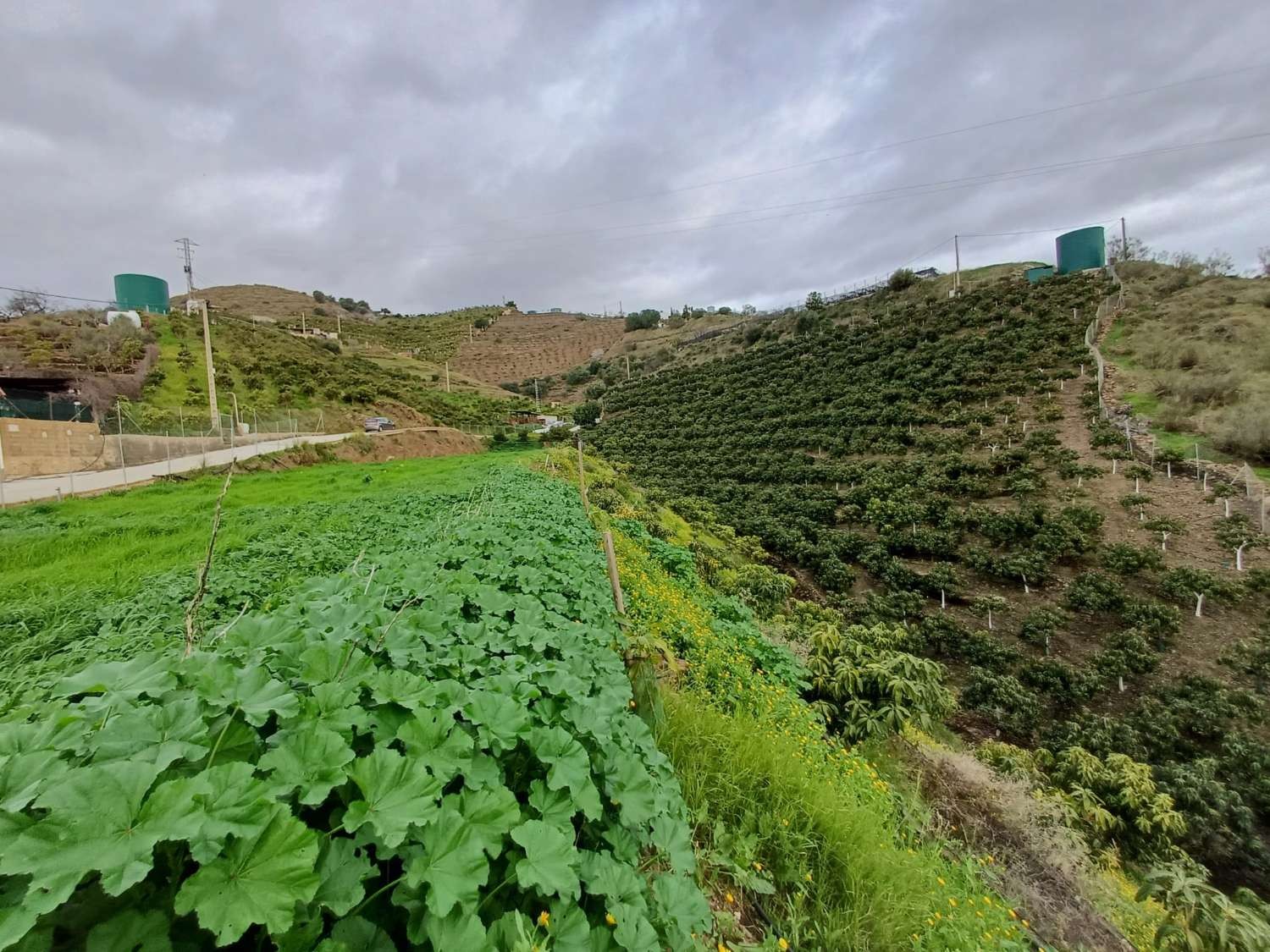 Parcelle en vente à Málaga
