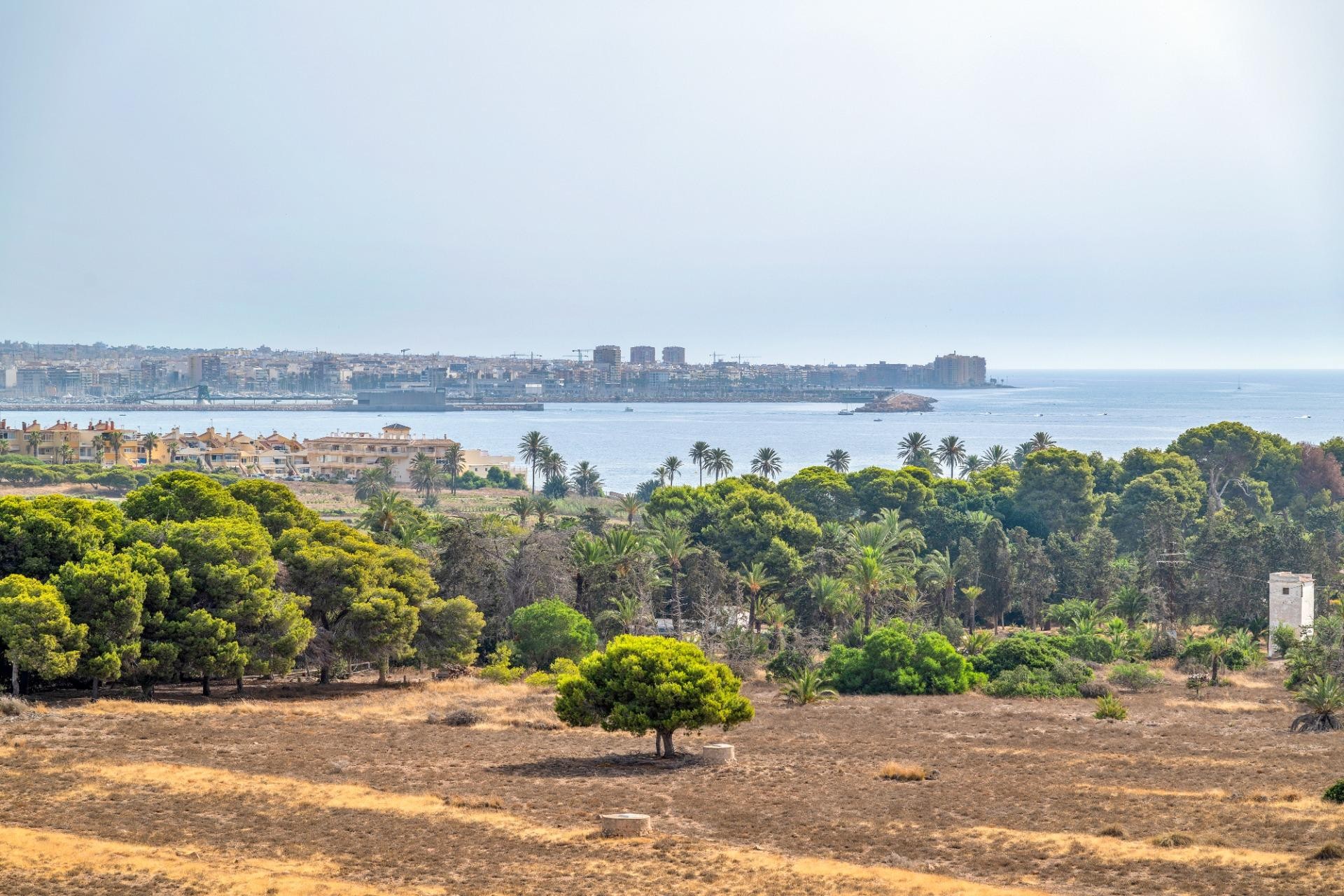 Apartamento en venta en Torrevieja