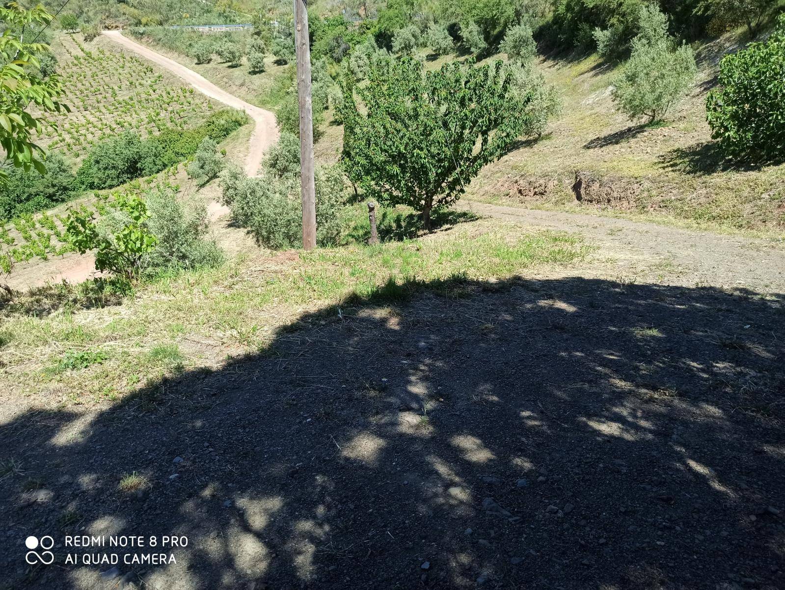 Country house in colmenar malaga