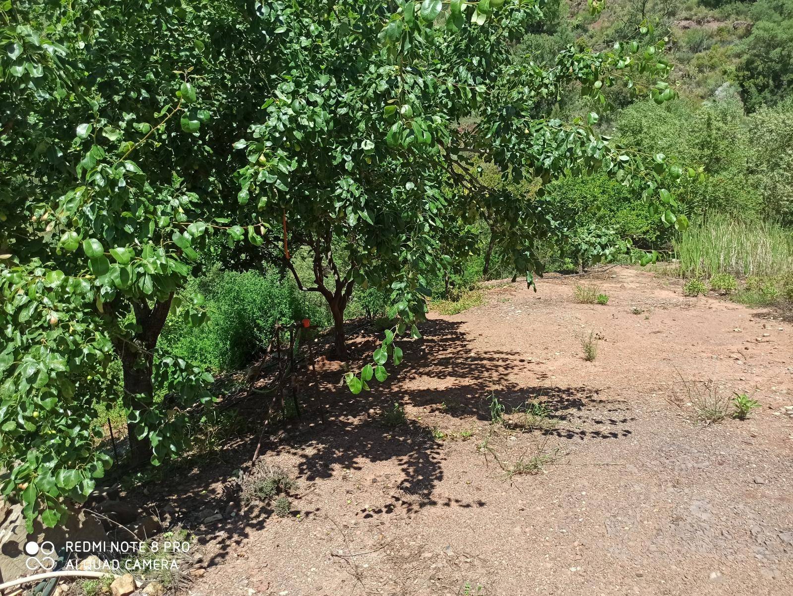 Country house in colmenar malaga