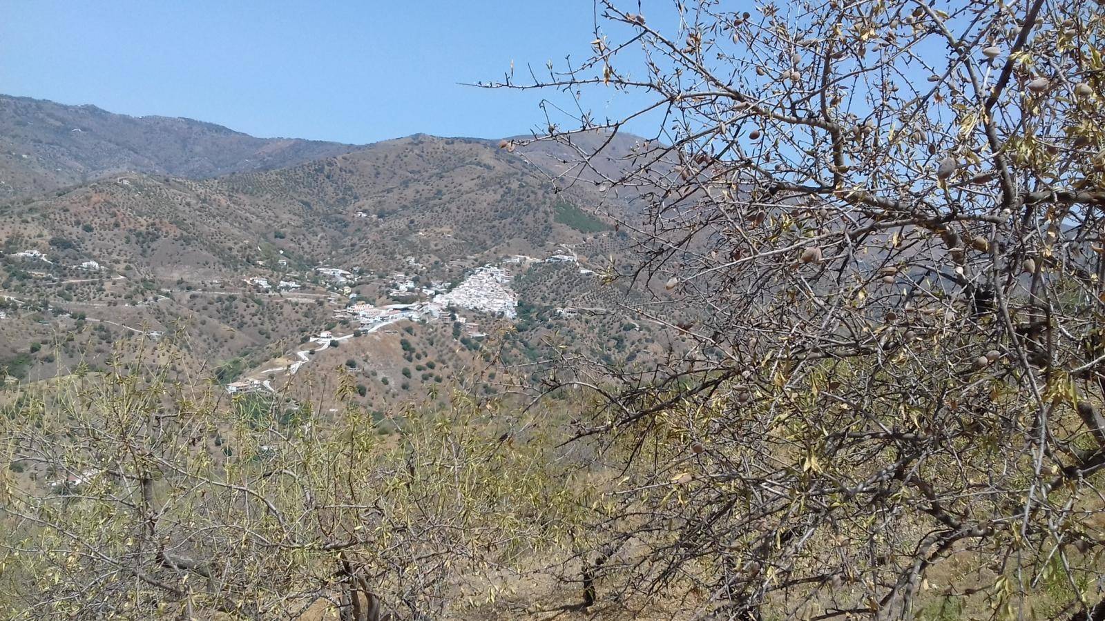 FINCA DE ALMENDROS