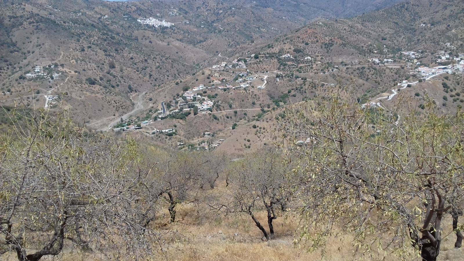 FINCA DE ALMENDROS