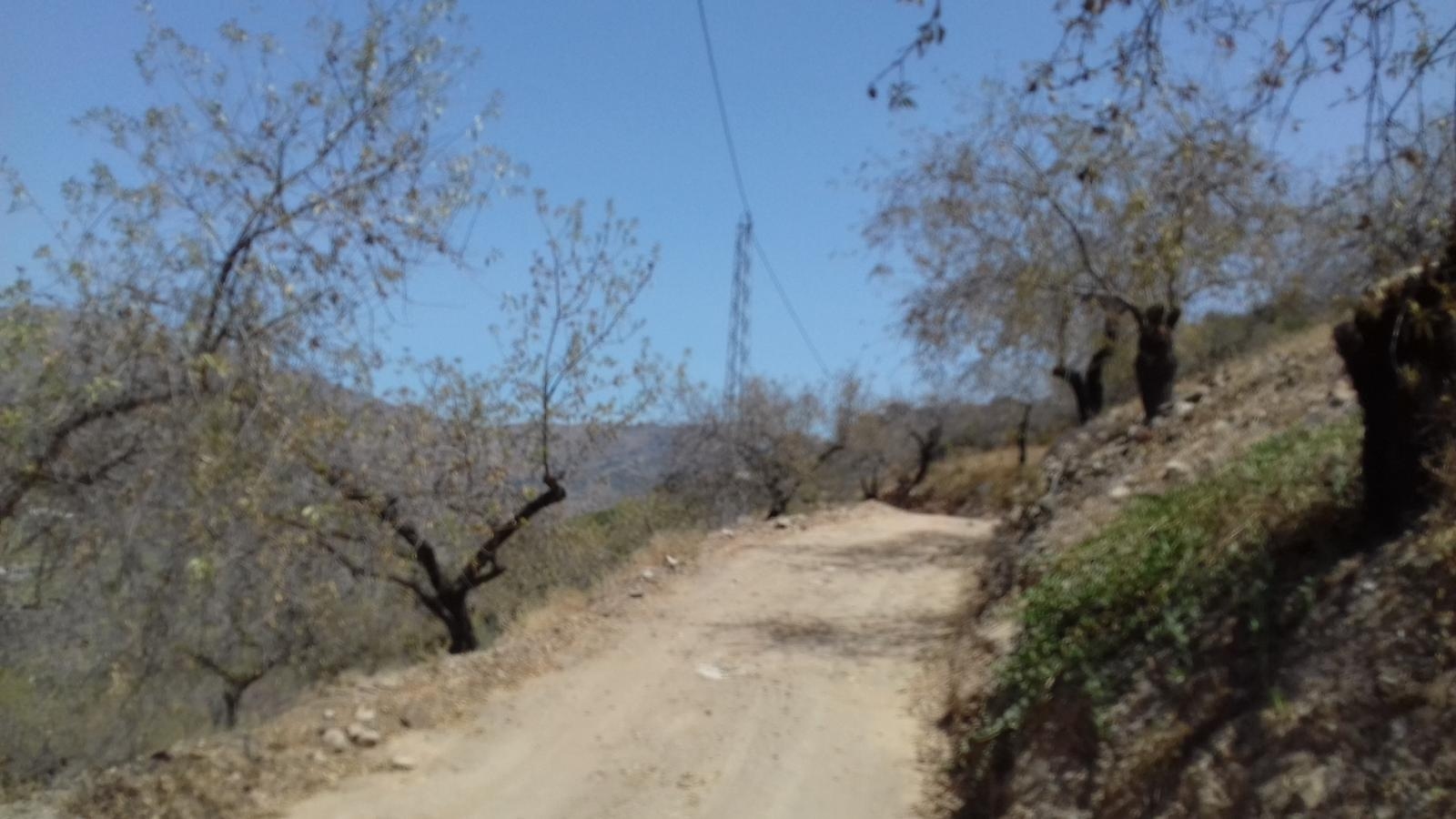 FINCA DE ALMENDROS