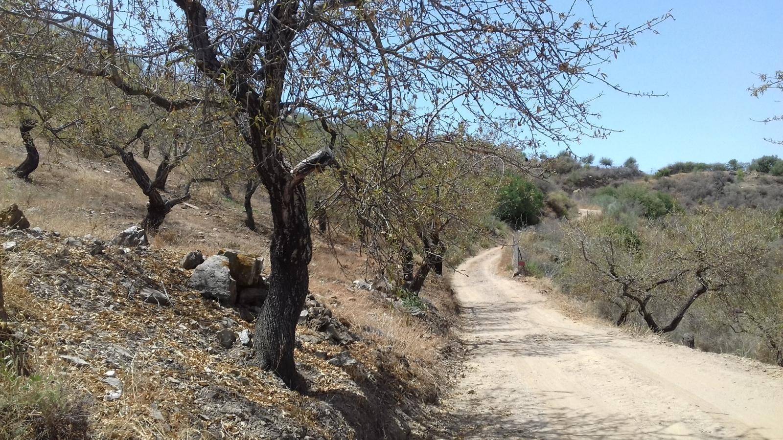 FINCA DE ALMENDROS